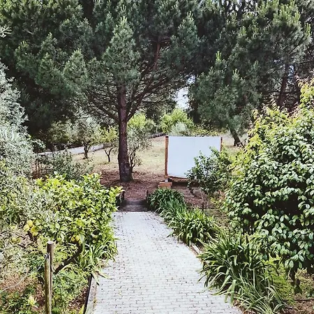 Casa Jone Томар