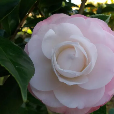 Casa Jone 別荘 トマール