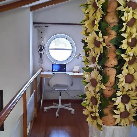 Casa Jone