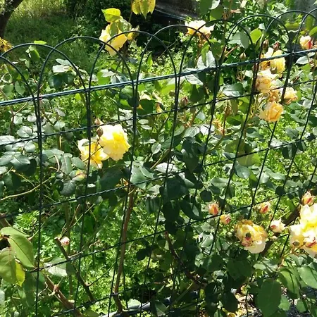 Casa Jone 別荘 トマール