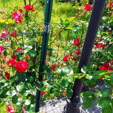 Casa Jone * Томар