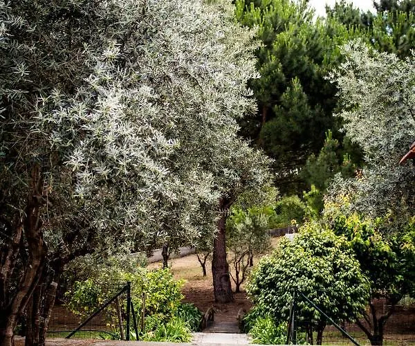 Casa Jone Дом отдыха Томар