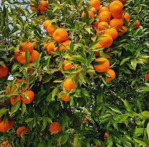 Casa Jone Casa vacanze Tomar