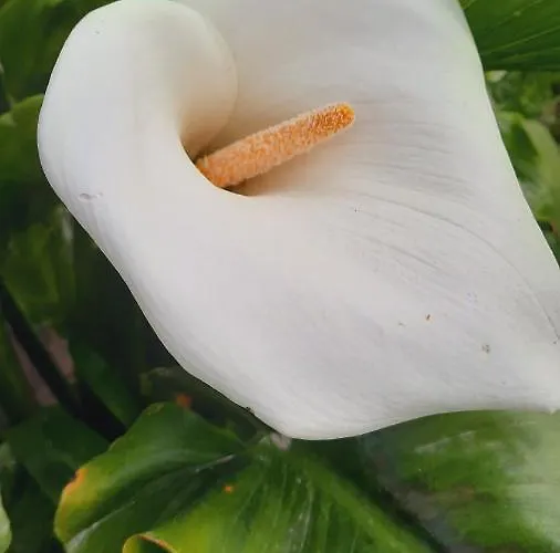 Casa Jone Casa vacanze *