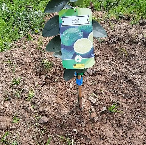 Дом отдыха Casa Jone