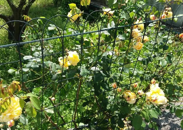 Casa Jone Casa vacanze Tomar