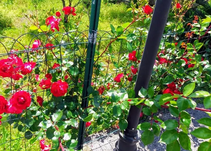 Casa Jone * Томар